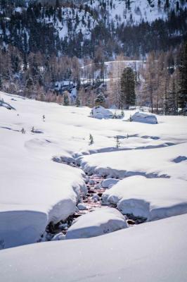 Preview of voucher design 