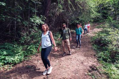 Preview of voucher design 